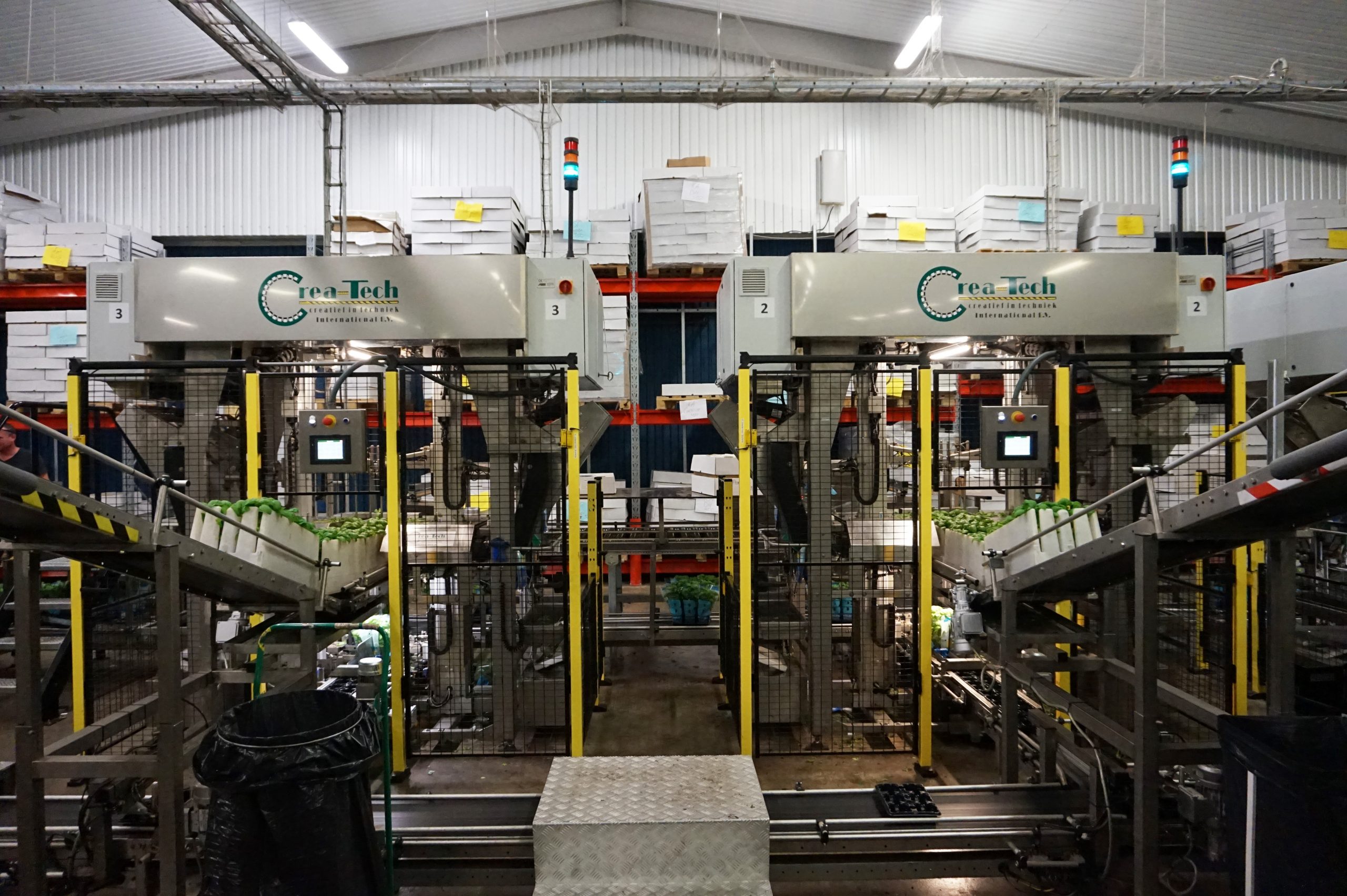 MULTIPLE PACKING LINE CreaTech